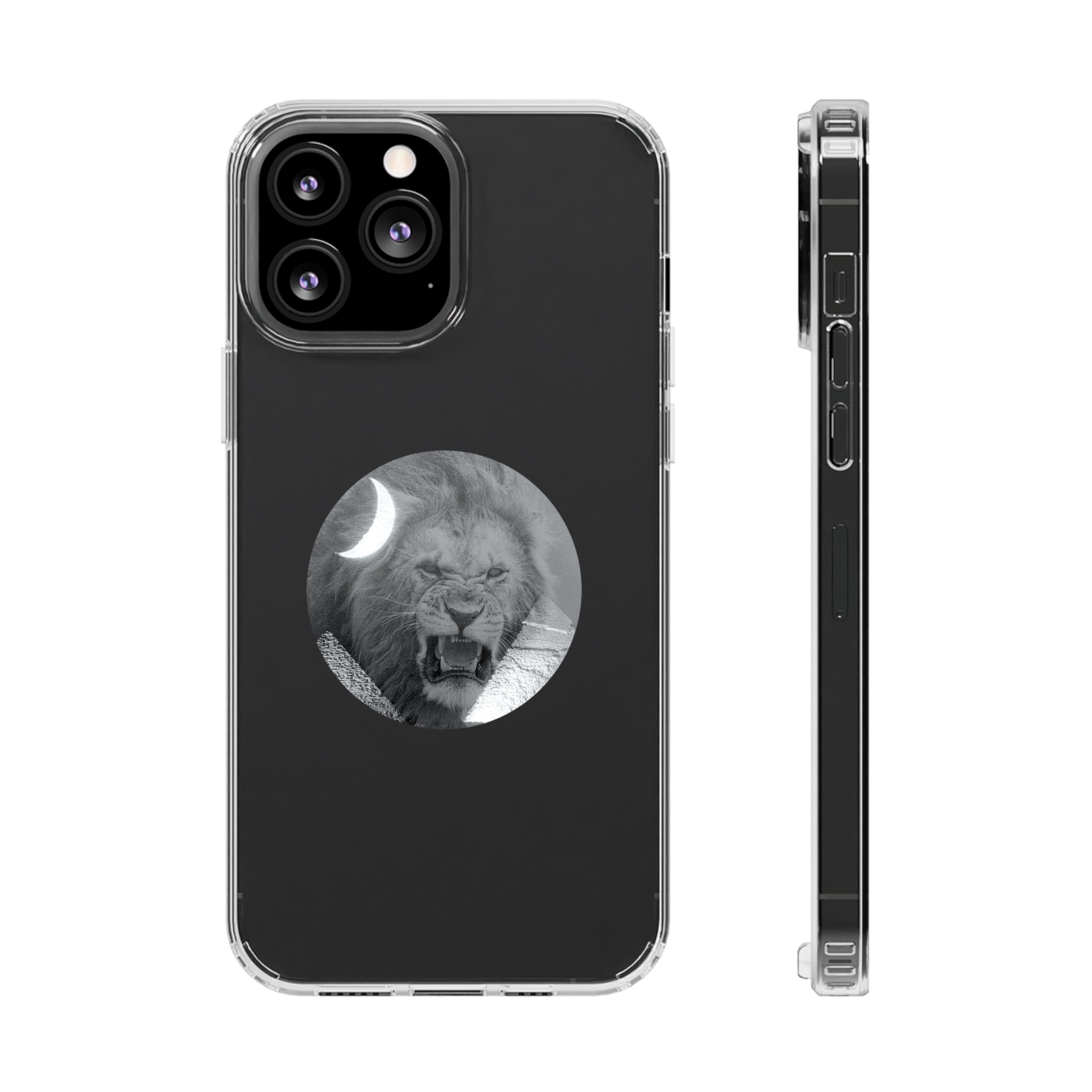 Clear Cases