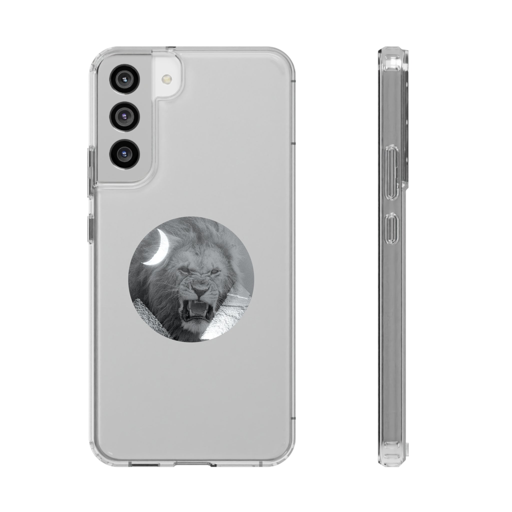 Clear Cases